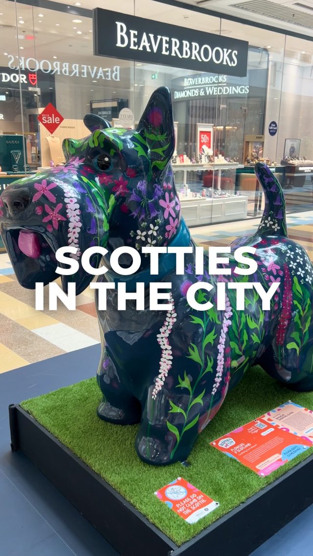 We’re proud to be supporting @maggiesscottiestrail with our very own FLOWERS O’SCOTLAND! 🌸🐾You’ll find our new Scottie dog outside Beaverbrooks as part of Maggie’s Scottie Dog Trail. Stop by, snap a photo and support an amazing cause.Donate via the link in our bio.✨#braeheadshoppingcentre #maggiestrail #maggiesscottiestrail #donate #scottiedog